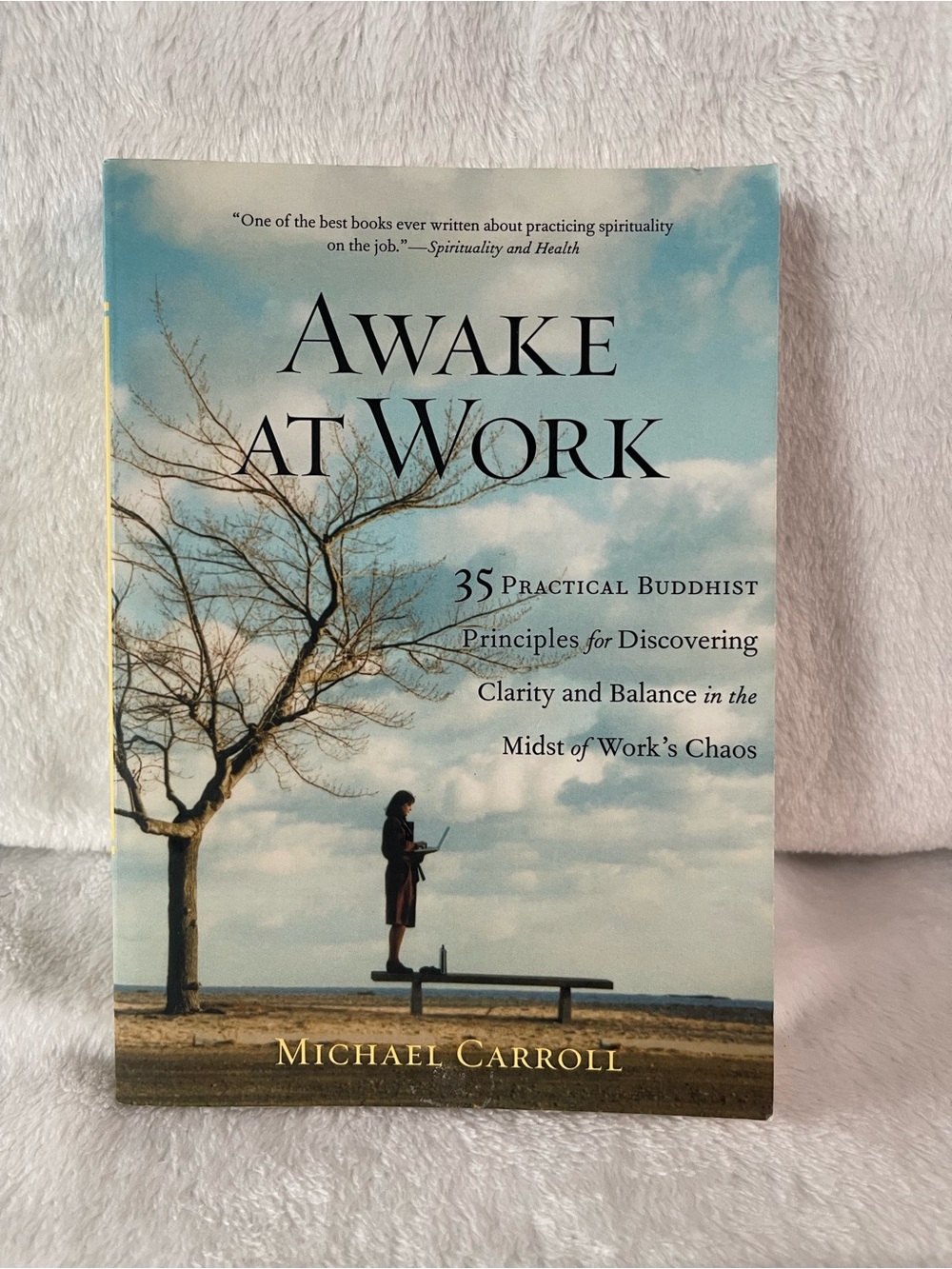 Awake at Work Practical Buddhist Principles Clarity Balance By Michael Carroll
